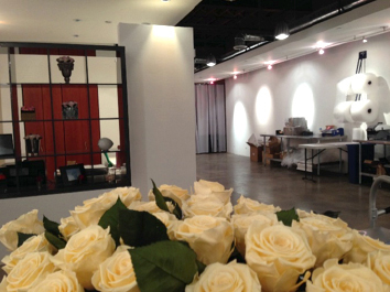 Office Space Chicago - Luxe Bloom